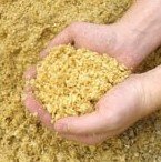 Corn Gluten Meal
