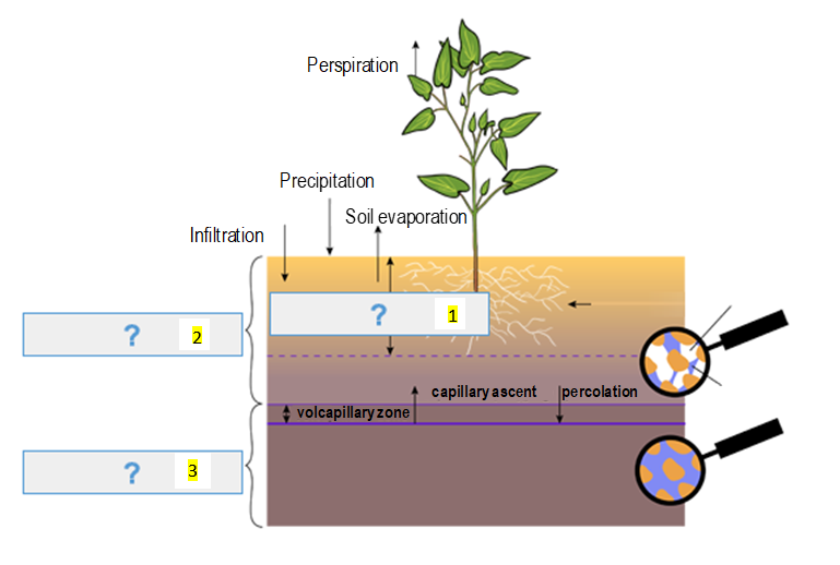 Soil Water Zones