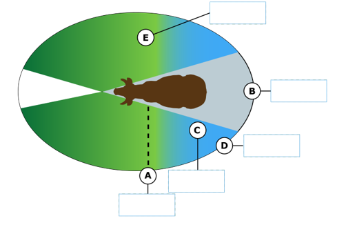 Animal Handling Zones